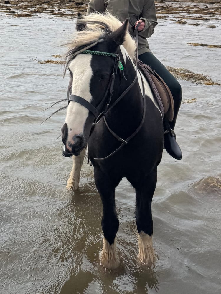 Horseback Riding, Ireland