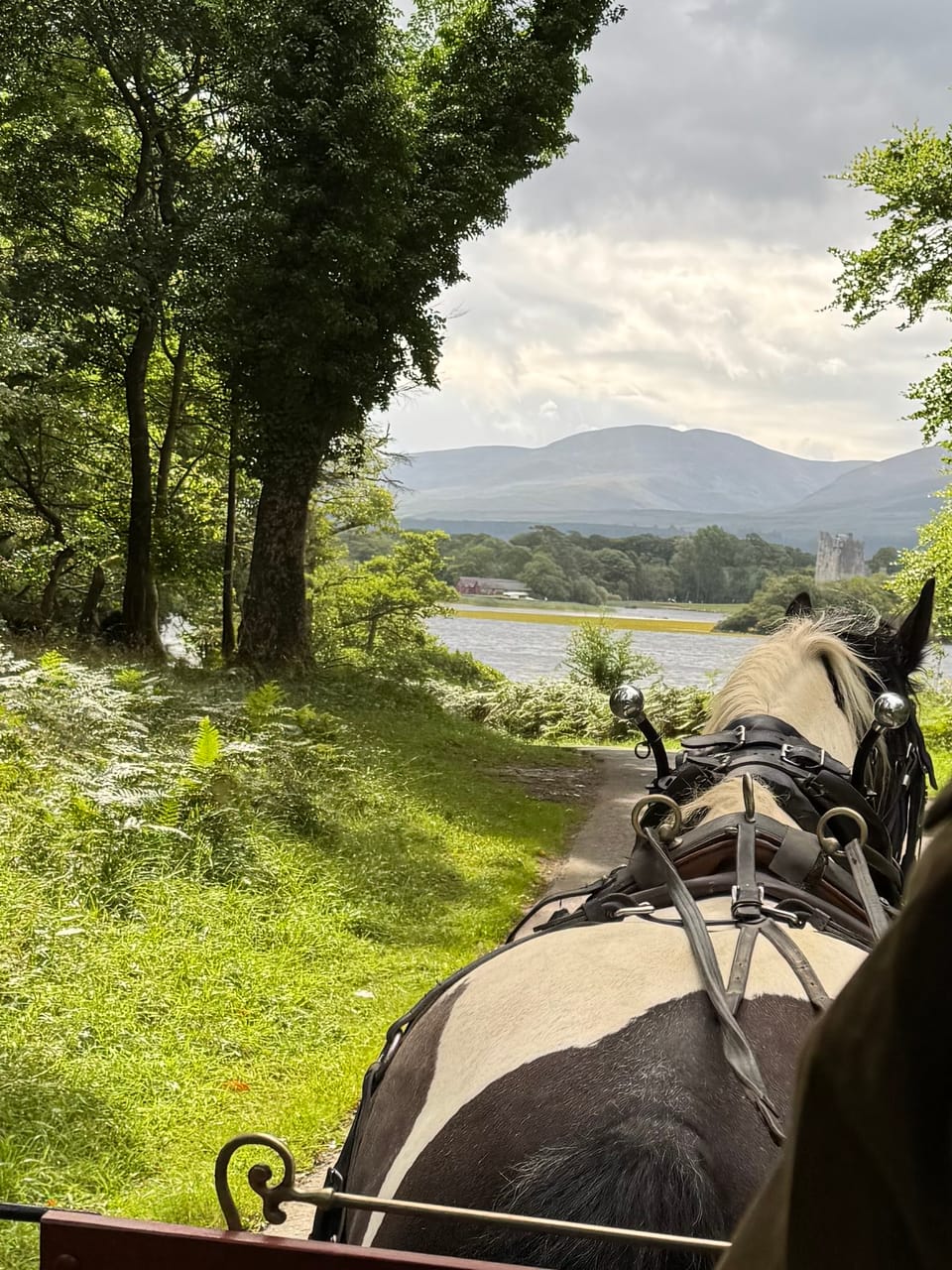 Killarney Horse and Carriage Tours