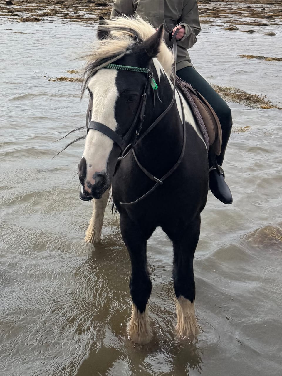 Horseback Riding, Ireland